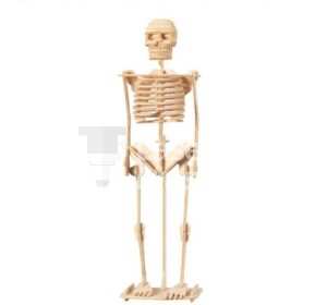 Skeleton Laser Cut File