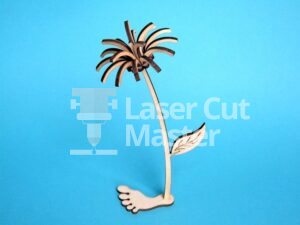 Palm