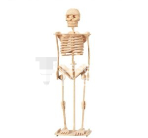 Skeleton Laser Cut File