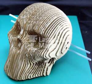 Skull